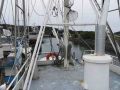 Steel Seiner Longliner Crabber thumbnail image 6