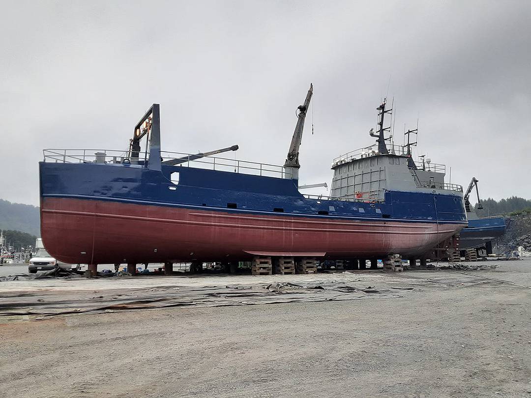 Steel Herring Salmon Packer image 1