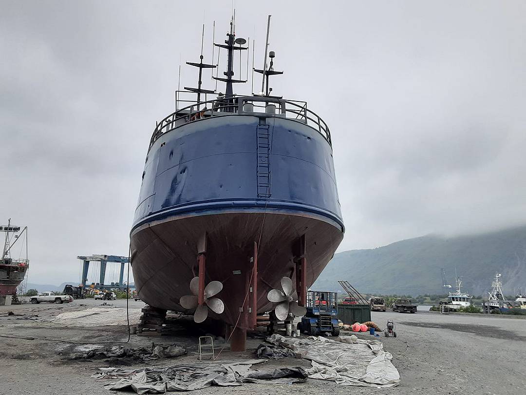 Steel Herring Salmon Packer image 3