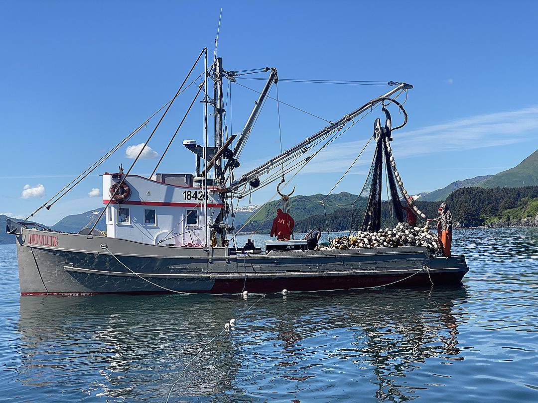 Seiner image 0