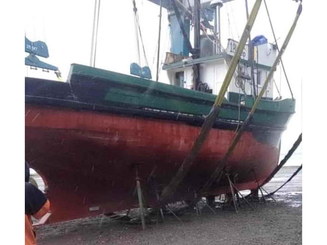 Seiner image 2