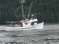 Tuna Salmon Troller Longliner thumbnail image 5