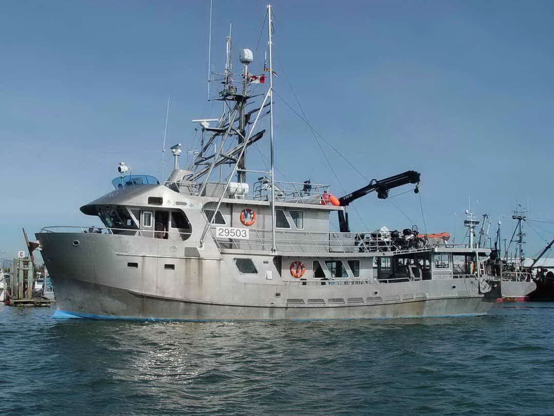 Shore Expedition Yacht image 1