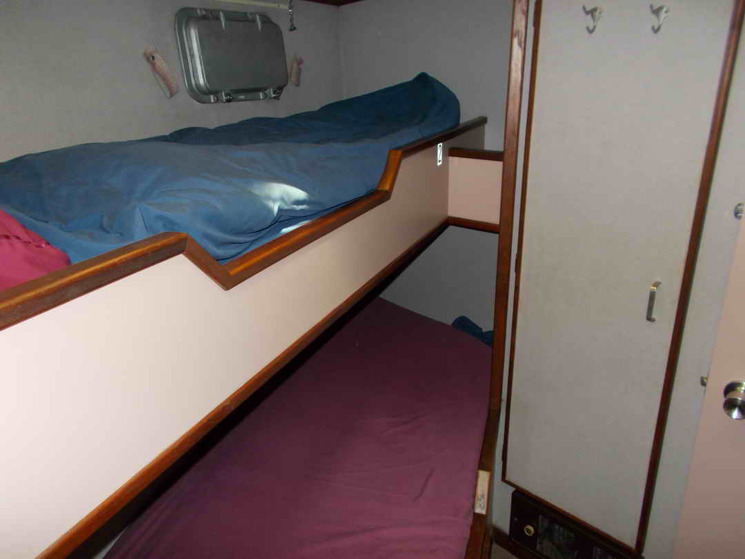 Shore Expedition Yacht image 11