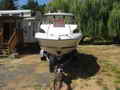 Bayliner Ciera Express Sport Fishing Boat thumbnail image 9