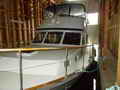 Tollycraft Flybridge Trawler thumbnail image 9