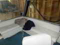 Tollycraft Flybridge Trawler thumbnail image 25