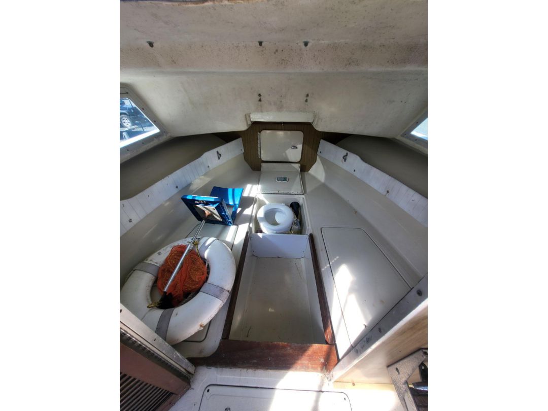Fiberglass Cuddy Cabin image 12