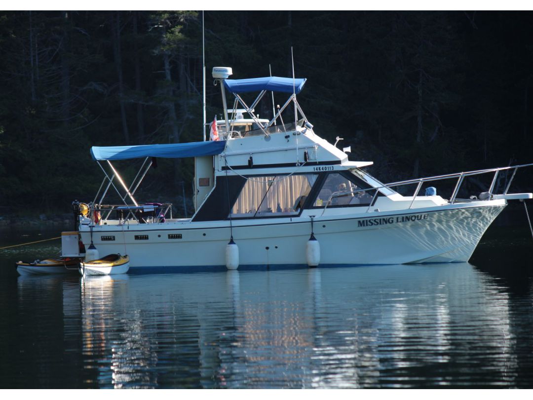 Fiberglass Cruiser image 1