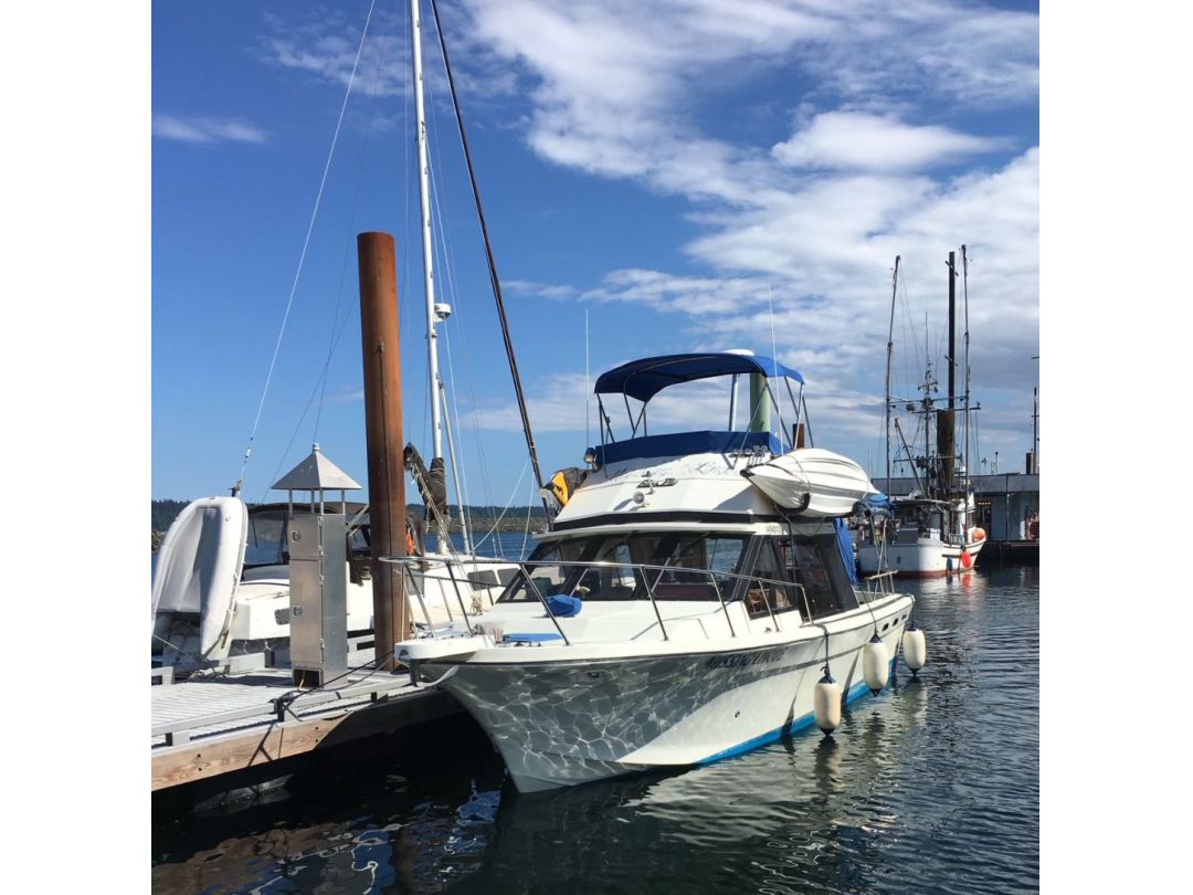 Fiberglass Cruiser image 5