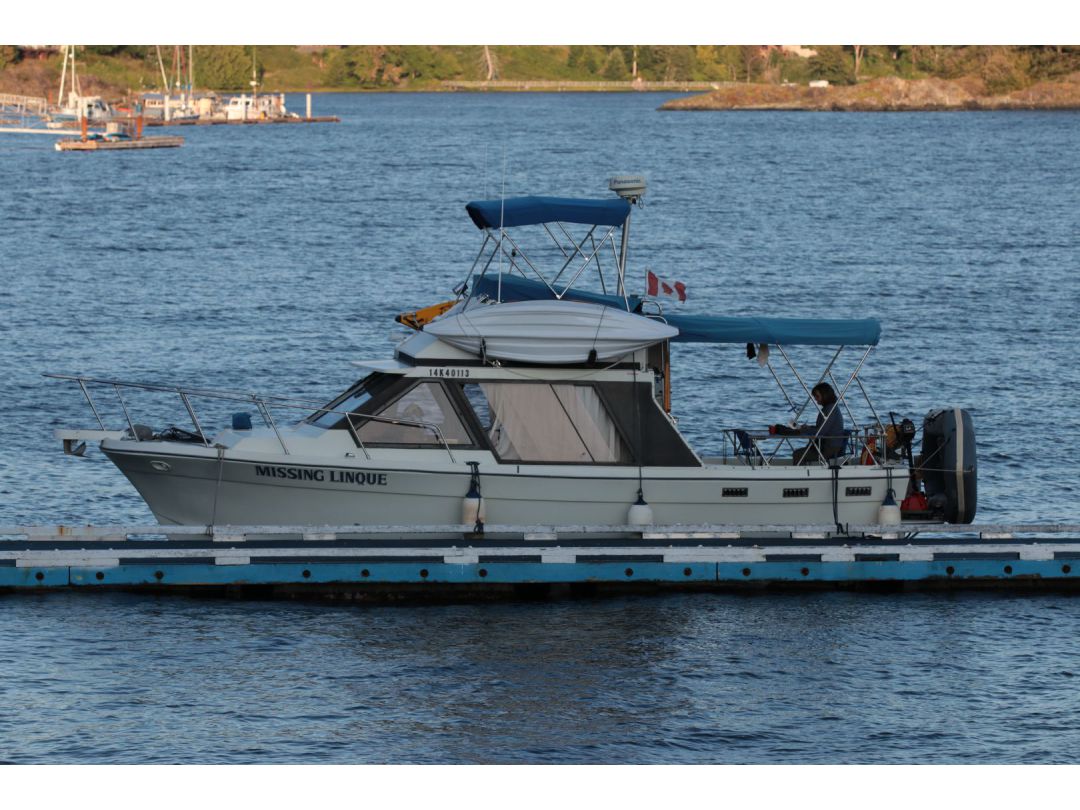 Fiberglass Cruiser image 1
