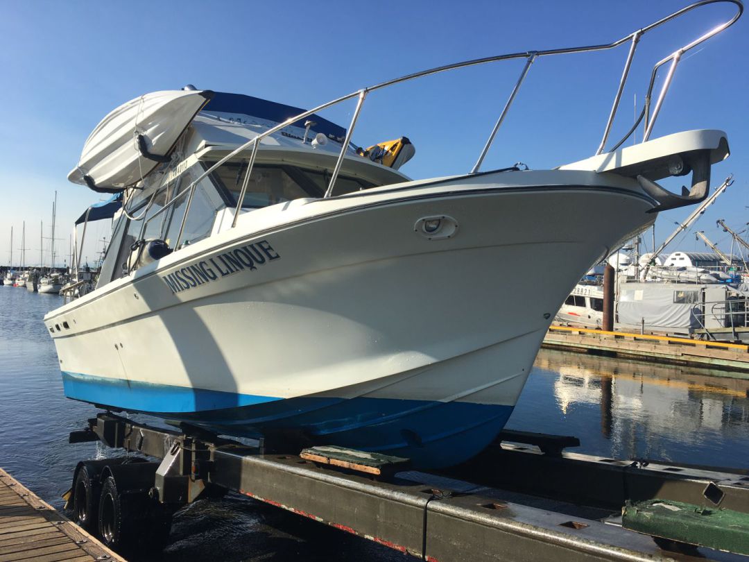 Fiberglass Cruiser image 3