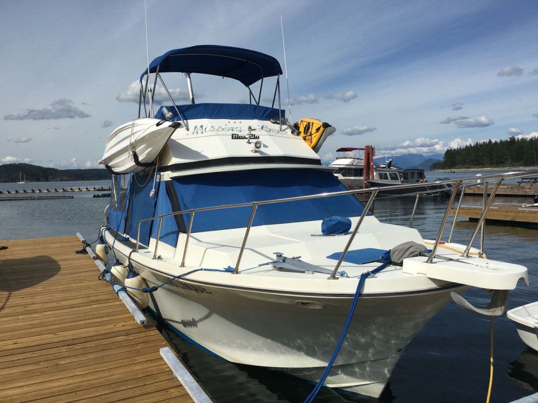 Fiberglass Cruiser image 4
