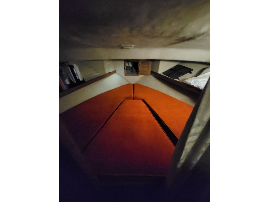 Fiberglass Cruiser image 25
