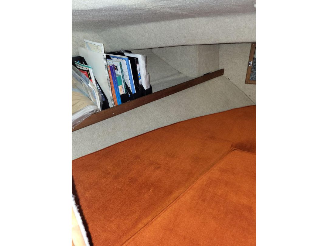 Fiberglass Cruiser image 26