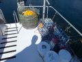 Fiberglass Gulf Commander thumbnail image 13