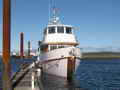 Motor Yacht thumbnail image 6