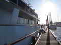 Motor Yacht thumbnail image 10