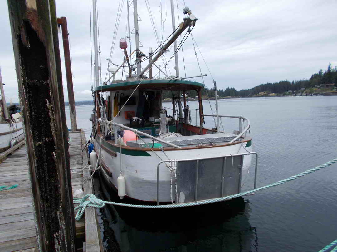 Ex-Troller Cruiser Live-Aboard Trawler image 12