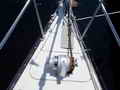 Hughes Columbia Sloop Sailboat thumbnail image 9