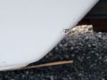 Fiberglass Sailboat thumbnail image 12