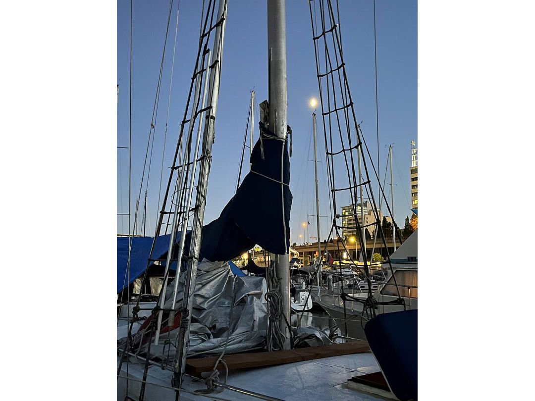 Steel Folkes Sailboat image 15