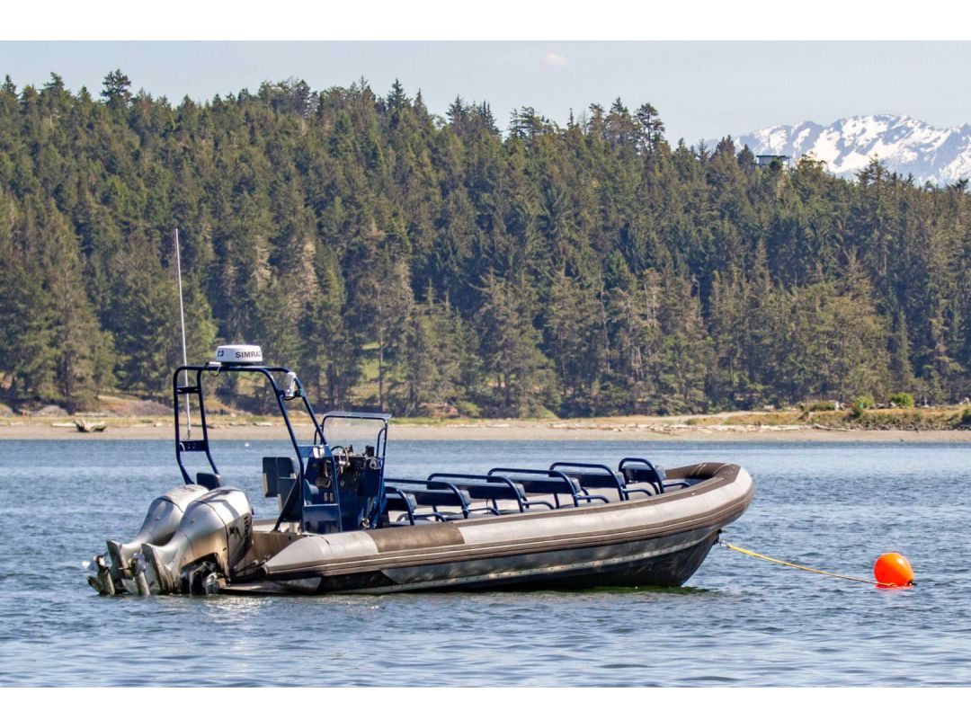 Lifetimer 17 Passenger Rib image 2