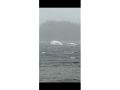 Lifetimer Passenger Charter Boat thumbnail image 17