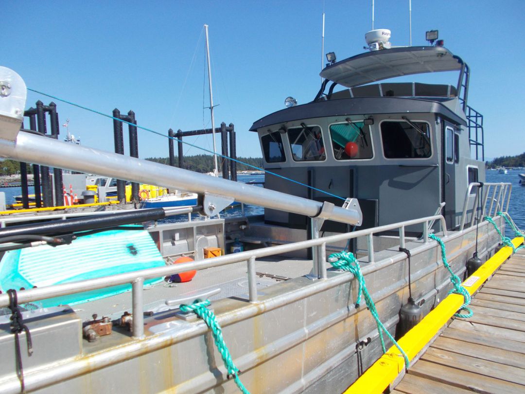 Aluminum Landing Craft image 10