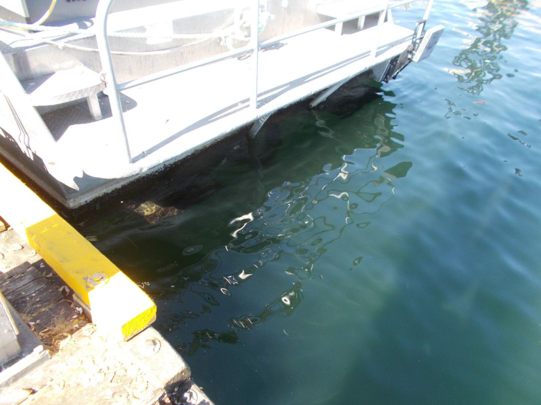 Aluminum Landing Craft image 11