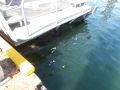 Aluminum Landing Craft thumbnail image 11
