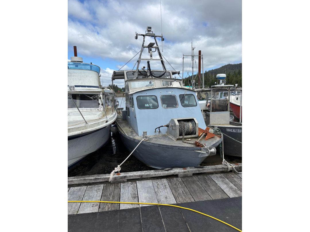 Aluminum Tug image 1