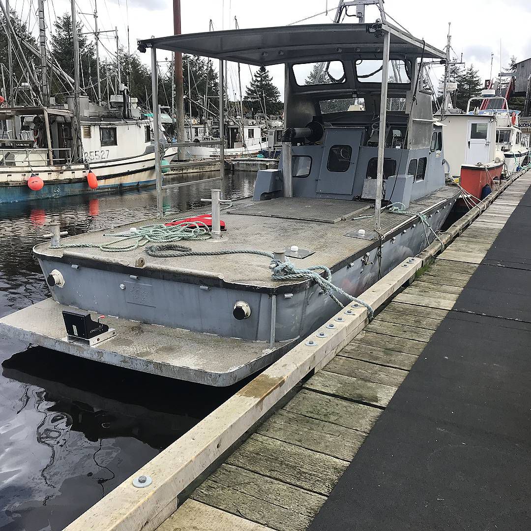 Aluminum Tug image 2