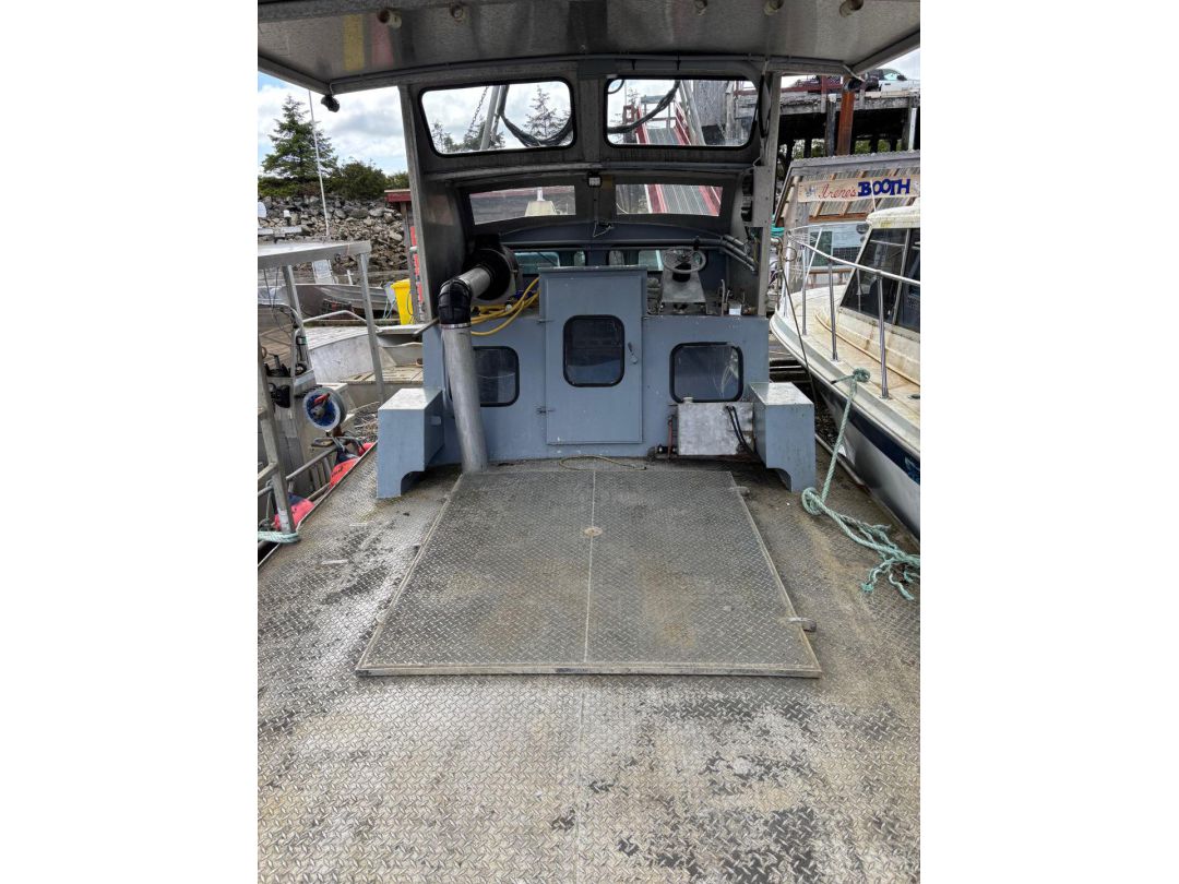 Aluminum Tug image 4