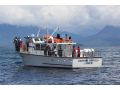 Fiberglass Rescue Boat thumbnail image 2