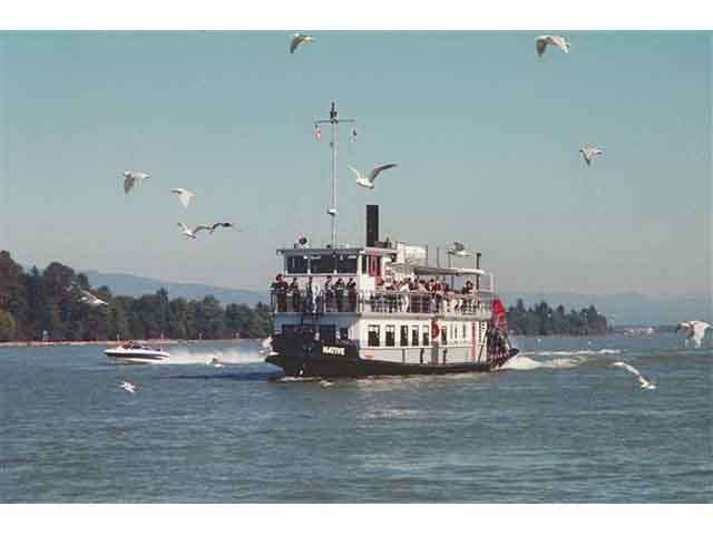 Passenger Paddlewheel Charter Boat image 4