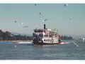 Passenger Paddlewheel Charter Boat thumbnail image 4