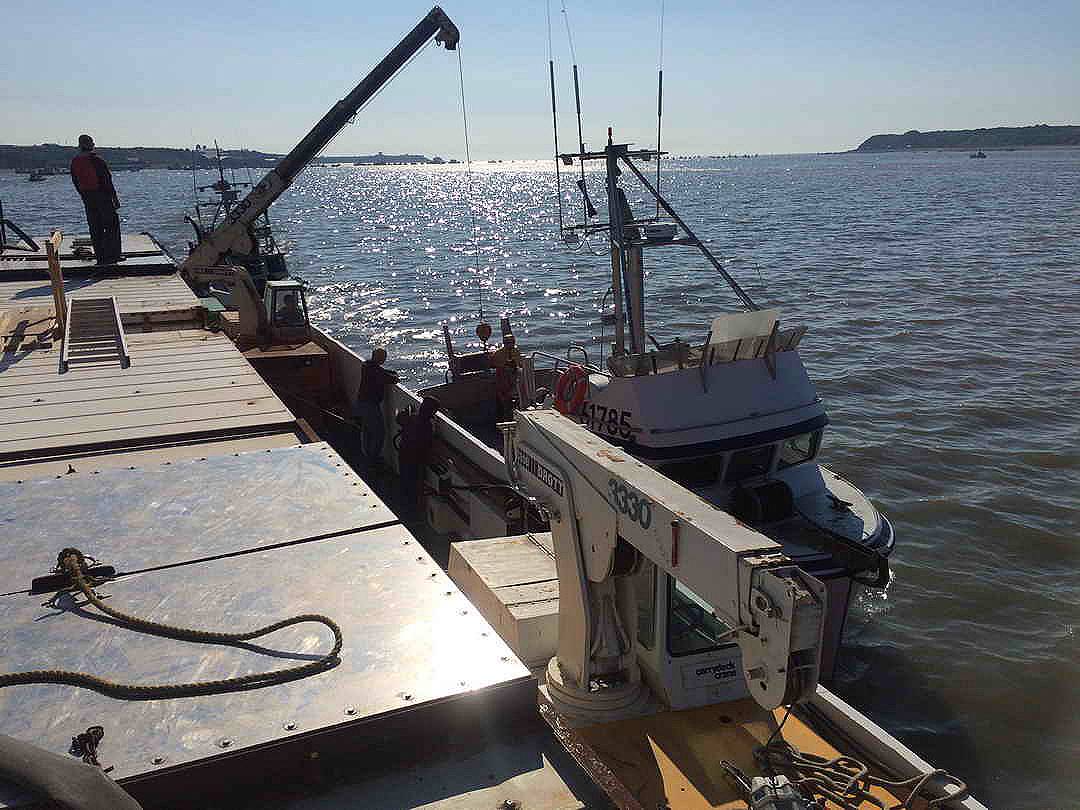 Steel Landing Craft image 5