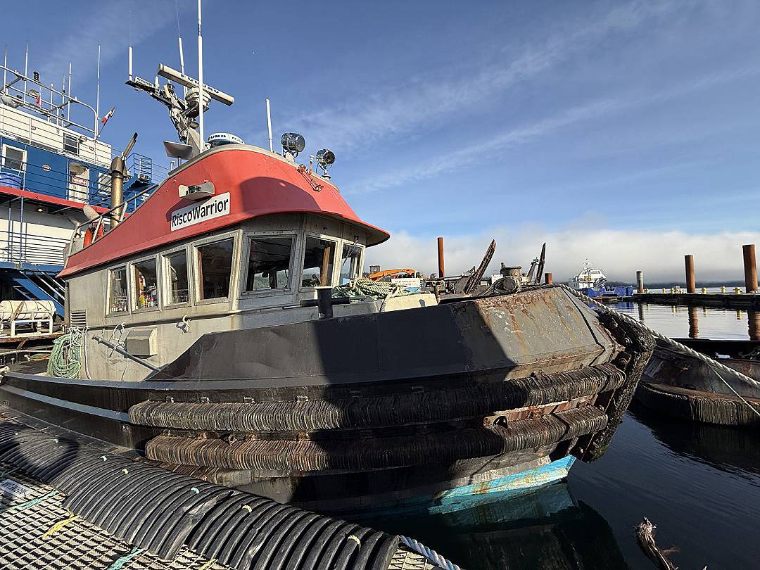 Steel Tug image 1