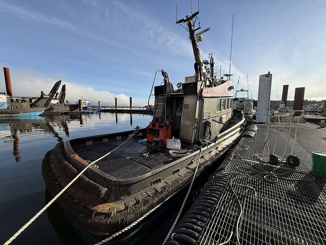 Steel Tug image 2