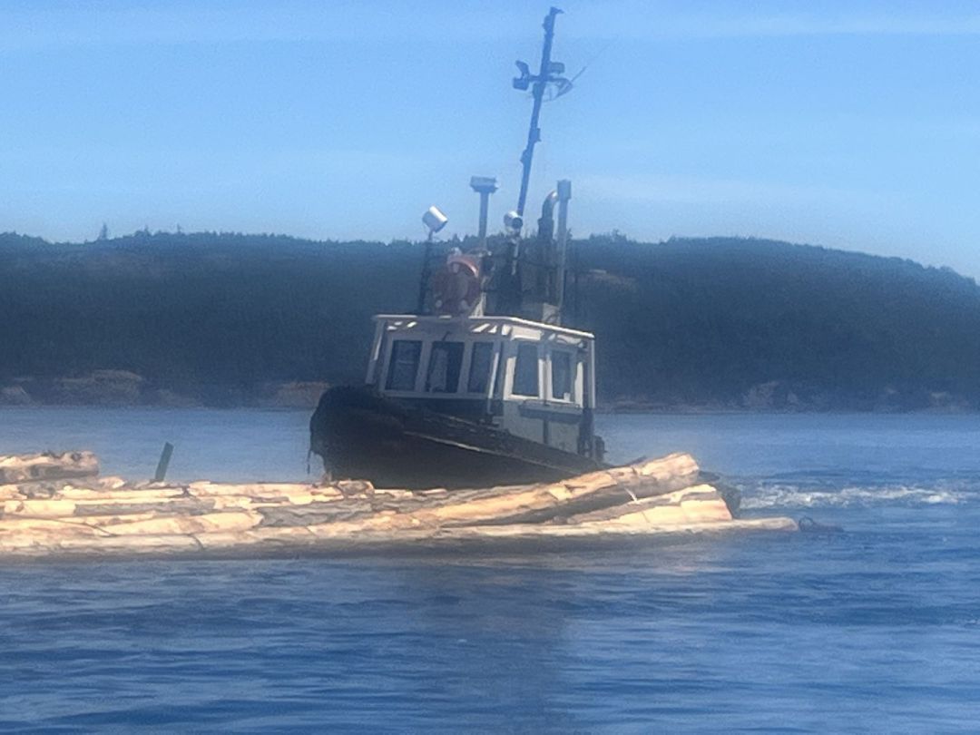 Steel Tug image 1