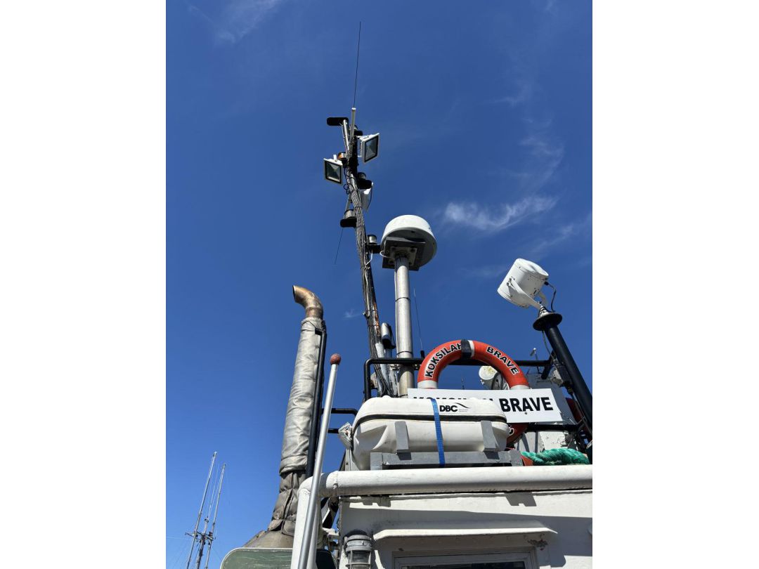 Steel Tug image 5