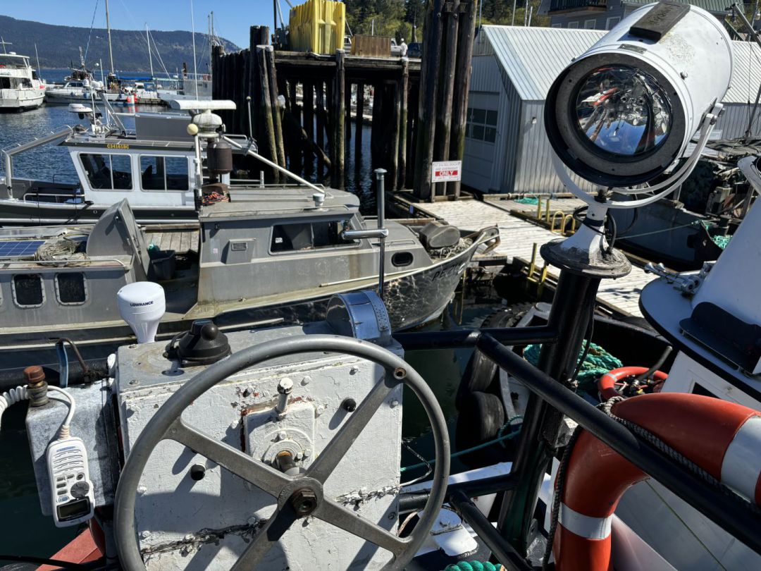 Steel Tug image 6