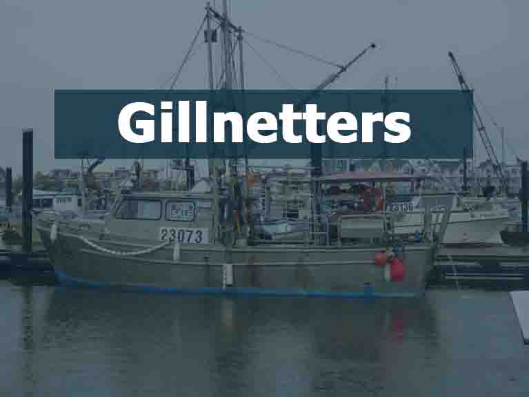 Gillnetters For Sale