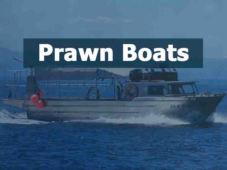 Prawn Boats For Sale